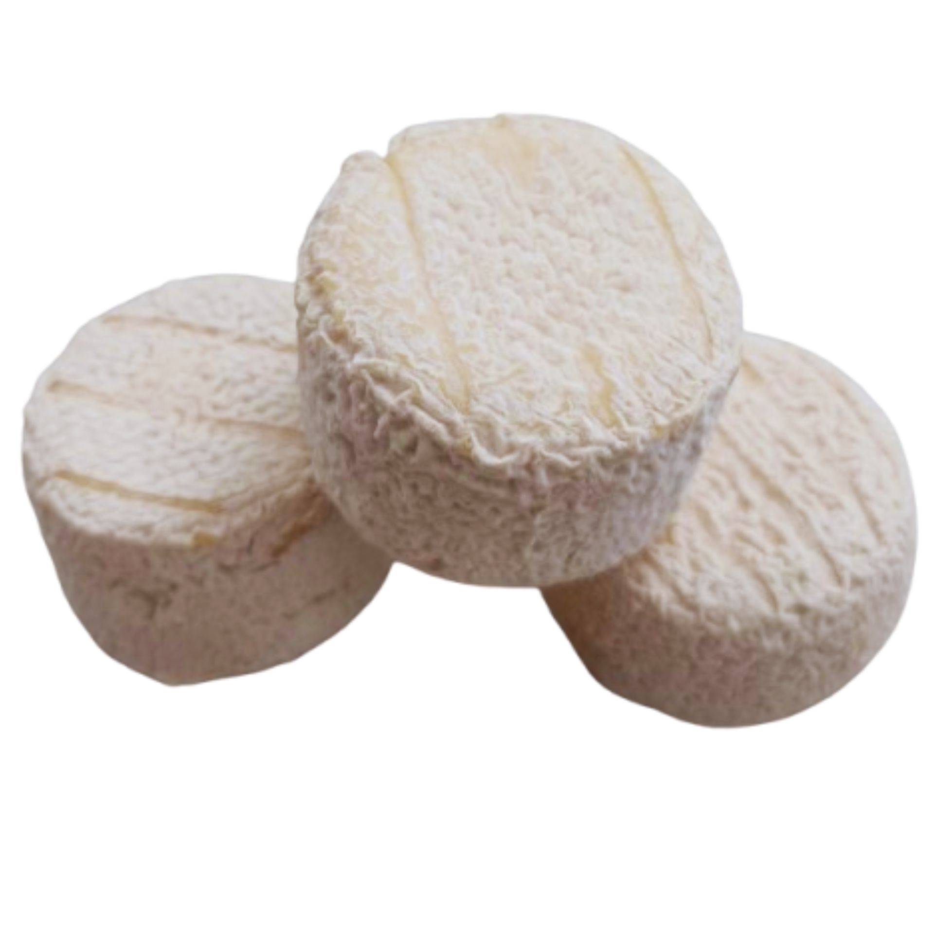 FROMAGE DE CHEVRE